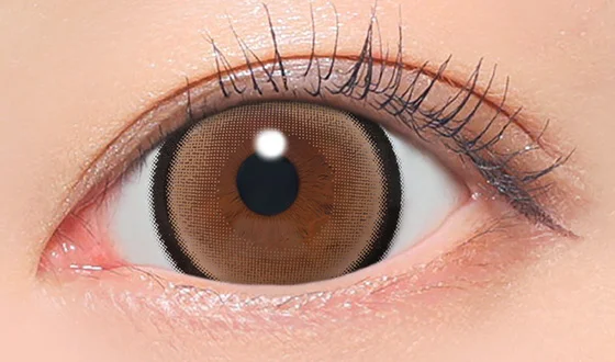 ファビュラス ワンデー メロブラウン着用画像