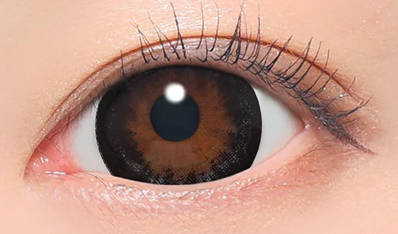 ファビュラス ワンデー NO.5ブラック着用画像