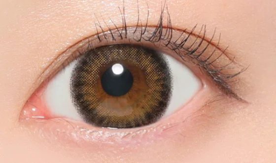 ファビュラス マンスリー グラスブラウン着用画像