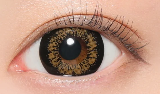 ファビュラス マンスリー キングブラウン着用画像