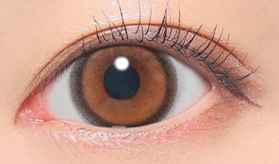 ファビュラス マンスリー ミミブラウン着用画像