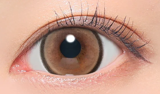 ファビュラス マンスリー メロブラウン着用画像