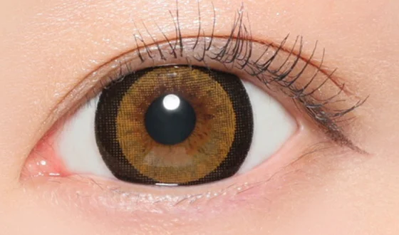 ファビュラス マンスリー NO.3ブラウン着用画像