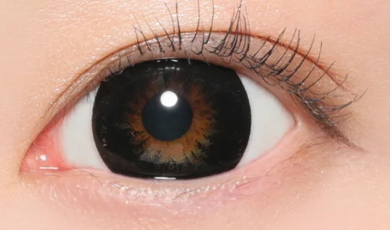 ファビュラス マンスリー No.5ブラック着用画像