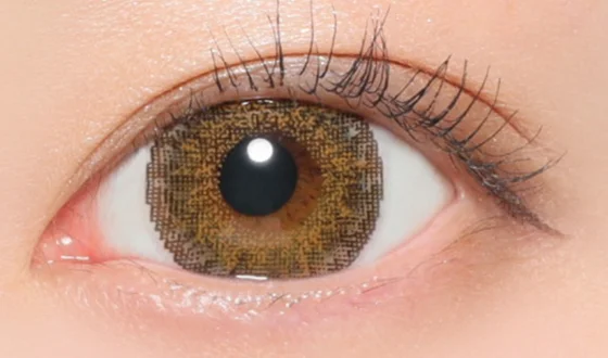 ファビュラス マンスリー NO.14ヘーゼル着用画像