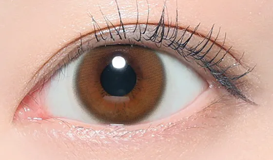 ピュアリティ ワンデー エアブラウン着用画像