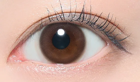 ピュアリティ ワンデー サークルブラウン着用画像