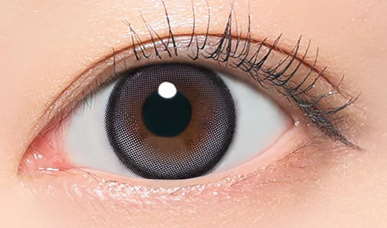 リアリア ワンデー アリアグレー着用画像