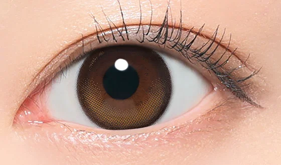 リアリア ワンデー リアリーブラウン着用画像