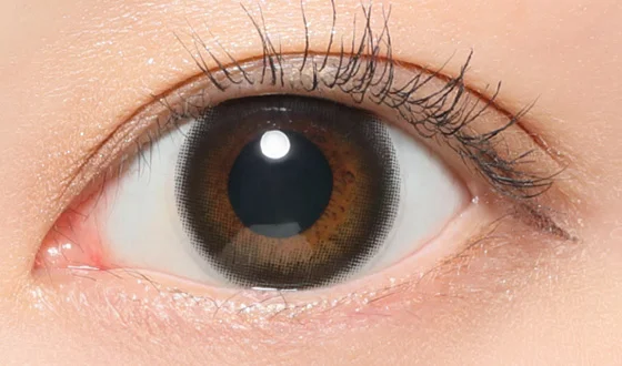 レヴィア ワンデー ブラック着用画像