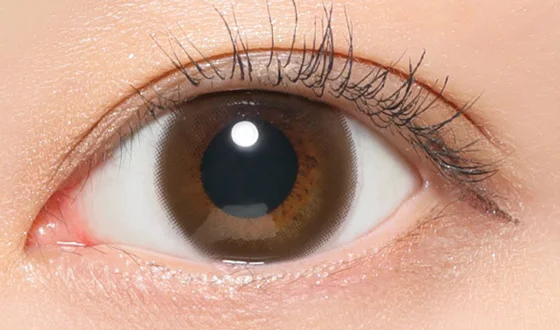 レヴィア ワンデー ブラウン着用画像