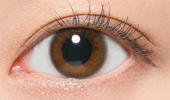 レヴィア ワンデー メルティベア着用画像