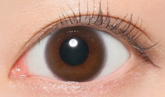 レヴィア ワンデー ムースブラウン着用画像