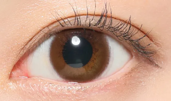 レヴィア ワンデー ヌードブラウン着用画像