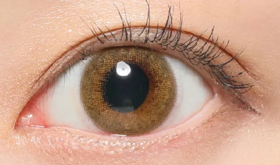 レヴィア ワンデー ペールミラージュ着用画像