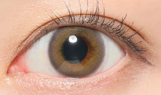 レヴィア ワンデー プライベート03着用画像