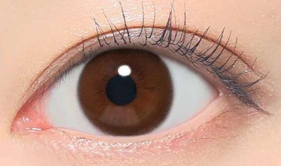 レヴィア ワンデー シャイブラウン着用画像