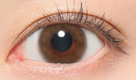 レヴィア マンスリー ビアンカ 着用画像