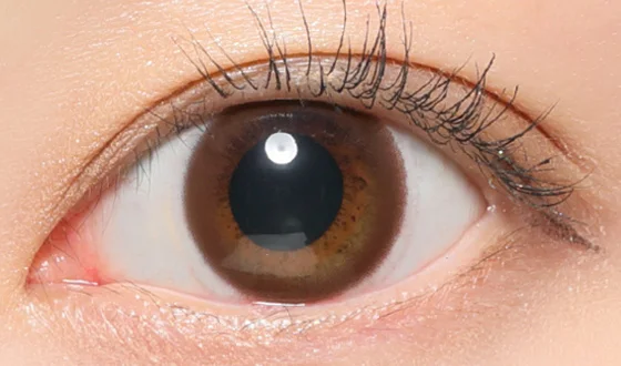 レヴィア マンスリー ブラウン 着用画像