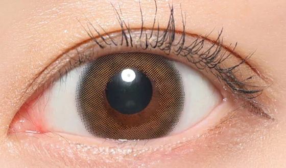 レヴィア マンスリー ヘイリー 着用画像