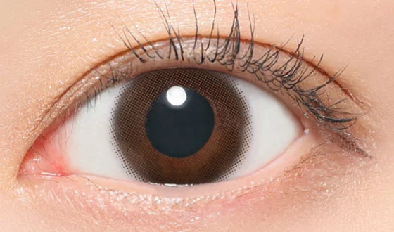 レヴィア マンスリー ムースブラウン 着用画像