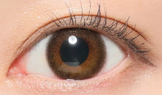 レヴィア マンスリー シアーセーブル 着用画像