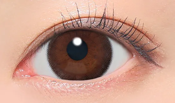 シークレットキャンディーマジック ワンデー ダークモカ着用画像