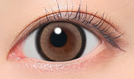 シークレットキャンディーマジック マンスリー ラメブラウン着用画像