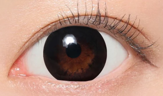 シークレットキャンディーマジック マンスリー NO.5ブラック着用画像