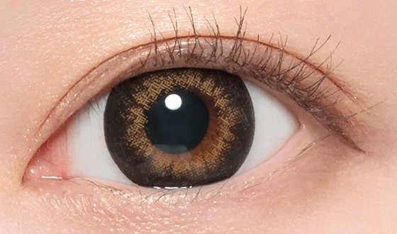 シークレットキャンディーマジック マンスリー NO.6ブラウン着用画像