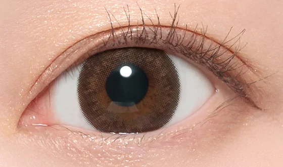 シークレットキャンディーマジック マンスリー セピア着用画像