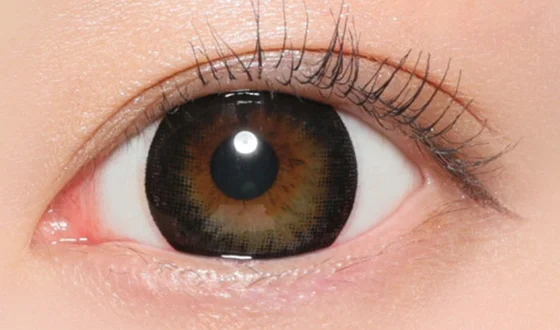 ヴィクトリア ワンデー ブラック着用画像