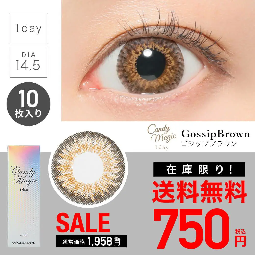 【 SALE 】candymagic 1day 《GOSSIPブラウン》 ゴシップブラウン 度あり 度なし 1箱10枚入り 単品