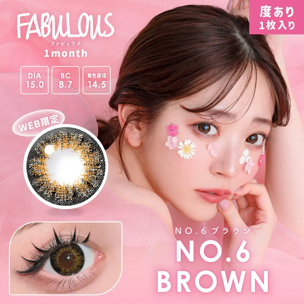 Fabulous 1month 《NO.6 ブラウン》 度あり 1箱1枚入り 2箱セット