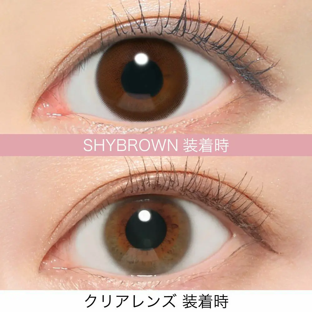 ReVIA 1day CIRCLE シャイブラウン DIA14.1 BC8.6 着色直径13.4 度あり 度なし 10枚入り