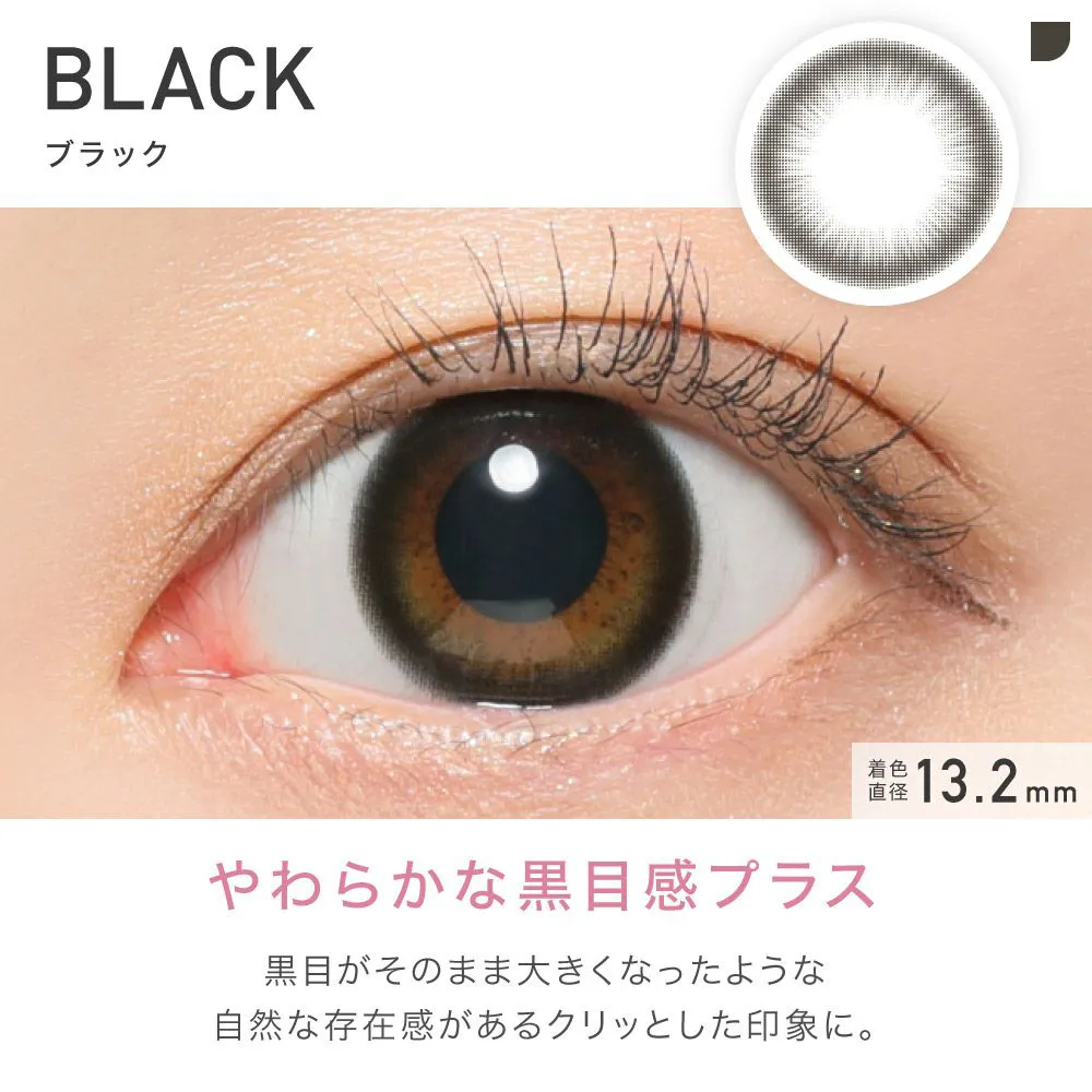 ReVIA 1month CIRCLE ブラック DIA14.1 BC8.6 着色直径13.2 度なし2枚入り