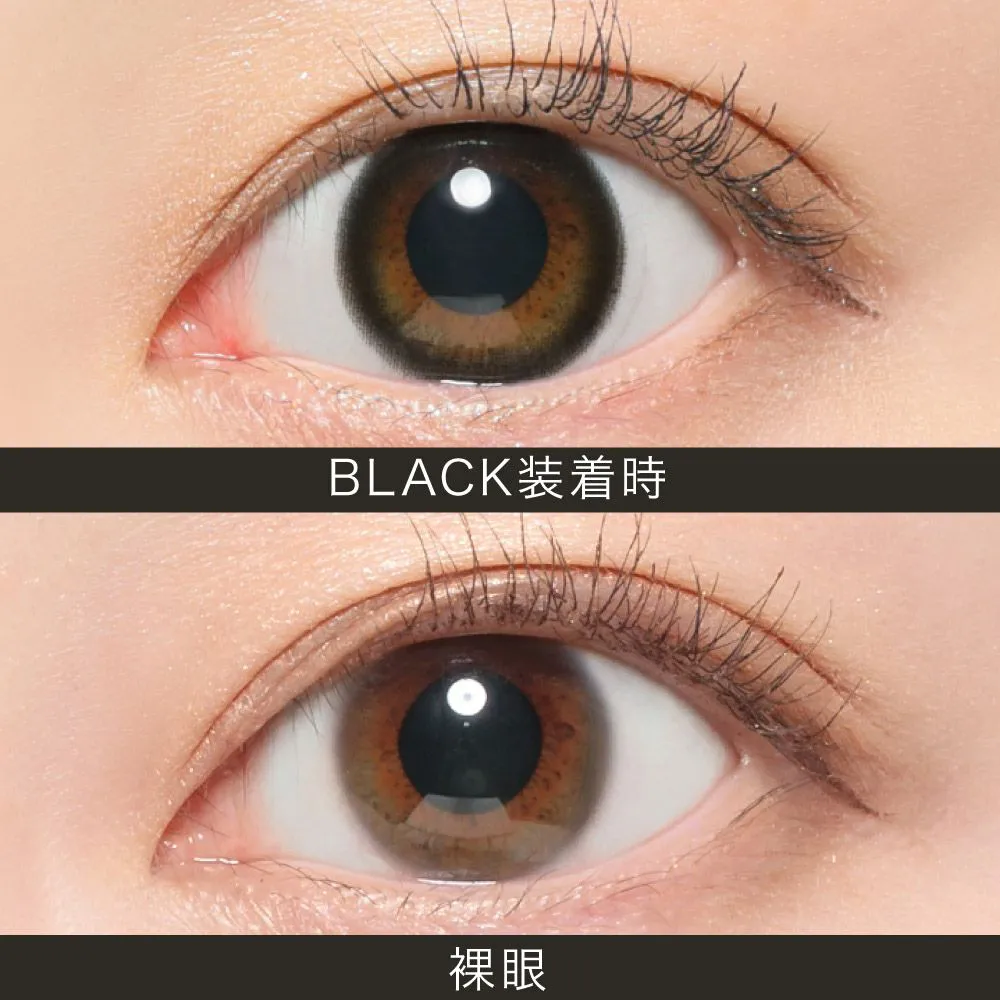 ReVIA 1month CIRCLE ブラック DIA14.1 BC8.6 着色直径13.2 度なし2枚入り