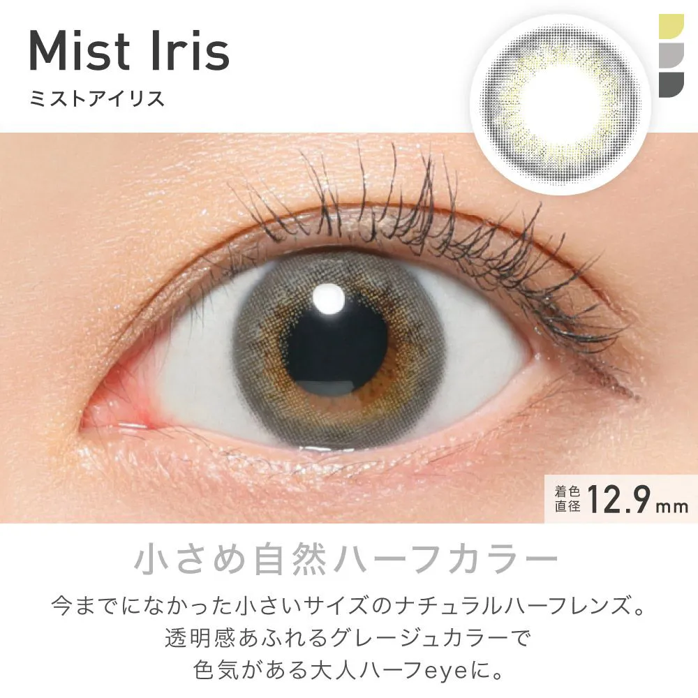 ReVIA 1month COLOR ミストアイリス DIA14.1 BC8.6 着色直径12.9 度あり1枚入り