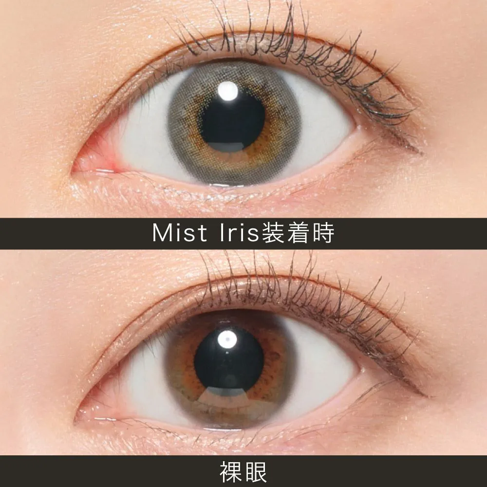 ReVIA 1month COLOR ミストアイリス DIA14.1 BC8.6 着色直径12.9 度あり1枚入り