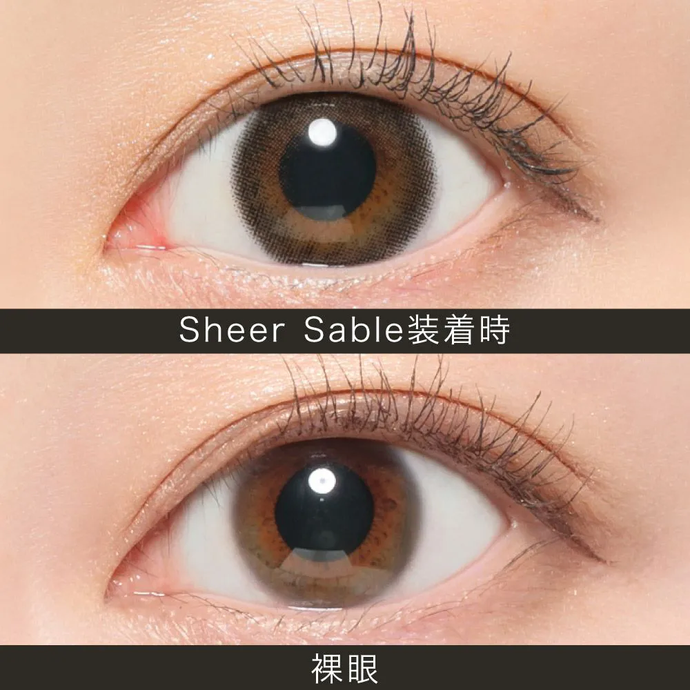 ReVIA 1month COLOR シアーセーブル 色直径12.9mm DIA14.1mm BC8.6mm 1箱2枚入り