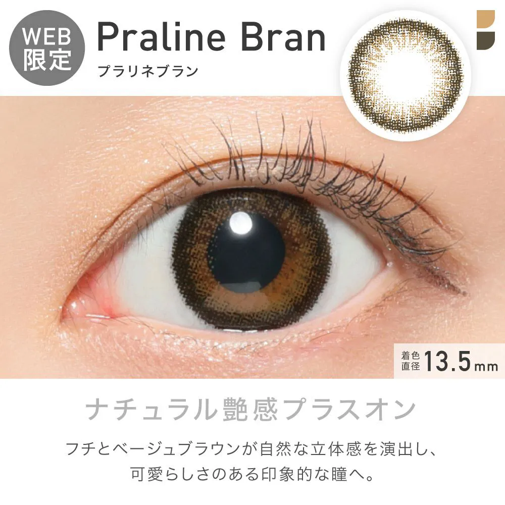 ReVIA 1month COLOR プラリネブラン DIA14.1 BC8.6 着色直径13.5 度なし2枚入り