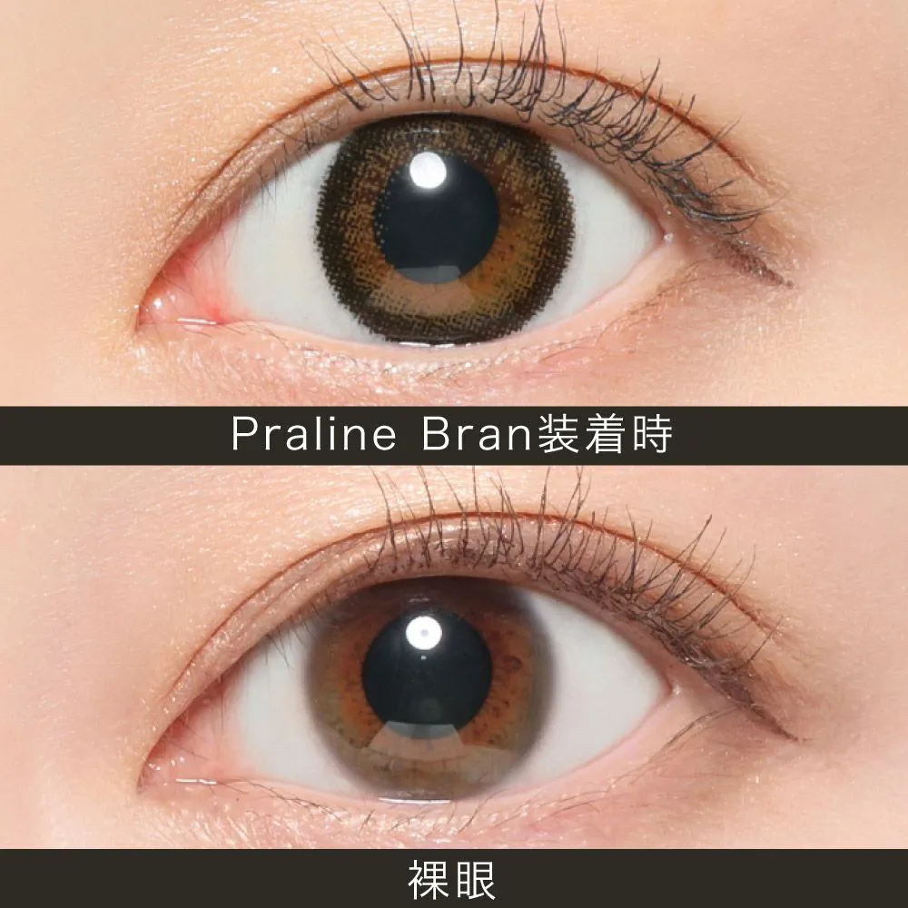 ReVIA 1month COLOR プラリネブラン DIA14.1 BC8.6 着色直径13.5 度なし2枚入り