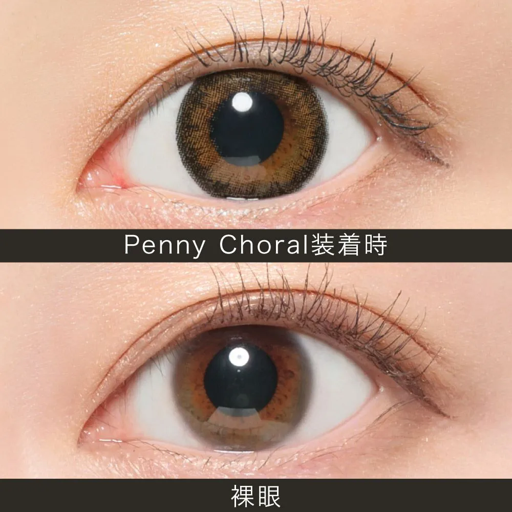 ReVIA 1month COLOR ペニーコーラル DIA14.1 BC8.6 着色直径13.6 度なし2枚入り