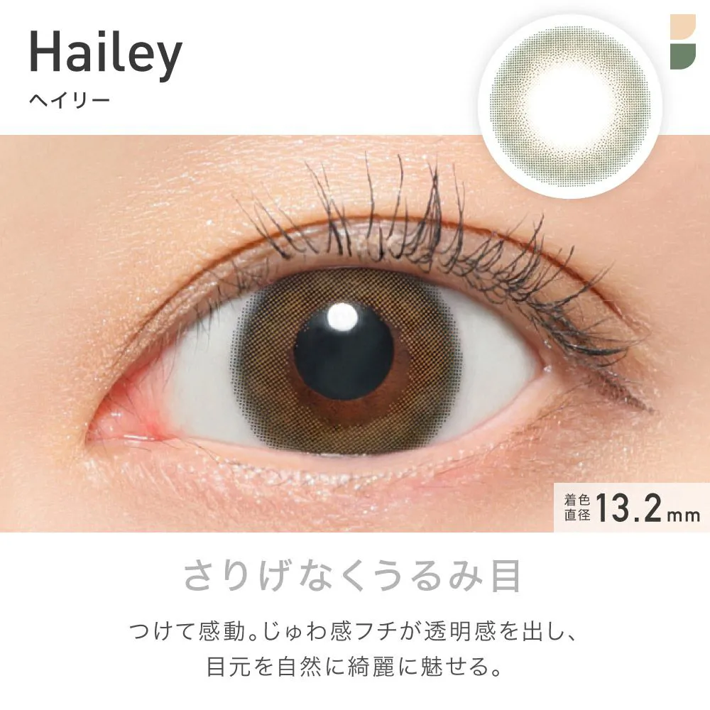 ReVIA 1month COLOR ヘイリー DIA14.0 BC8.6 着色直径13.2 度なし2枚入り