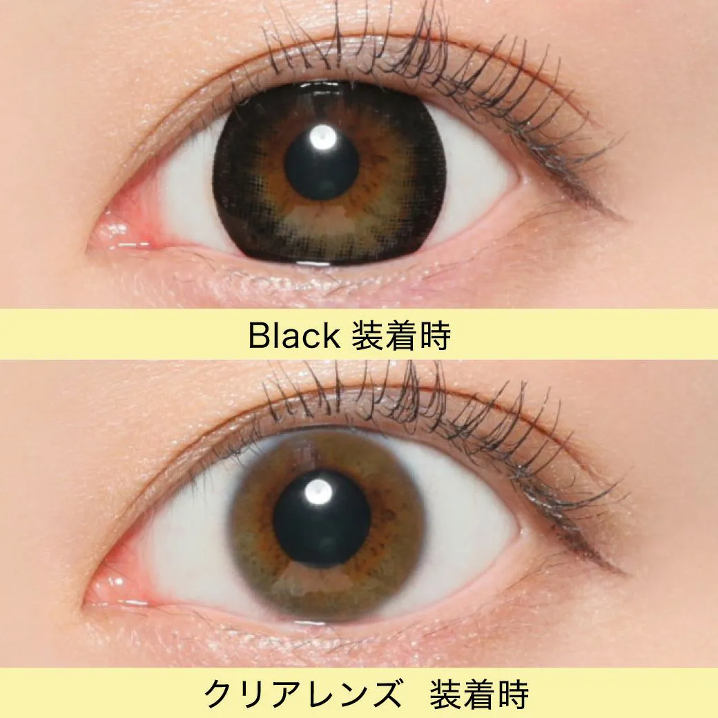 Victoria 1day ブラック DIA14.2 BC8.6 着色直径13.6 度あり 度なし 10枚入り