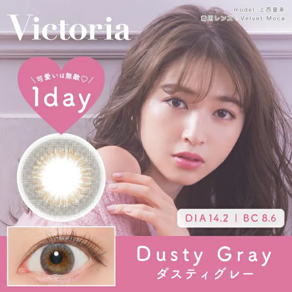 Victoria 1day 《ダスティグレー》 度あり 度なし 1箱10枚入り