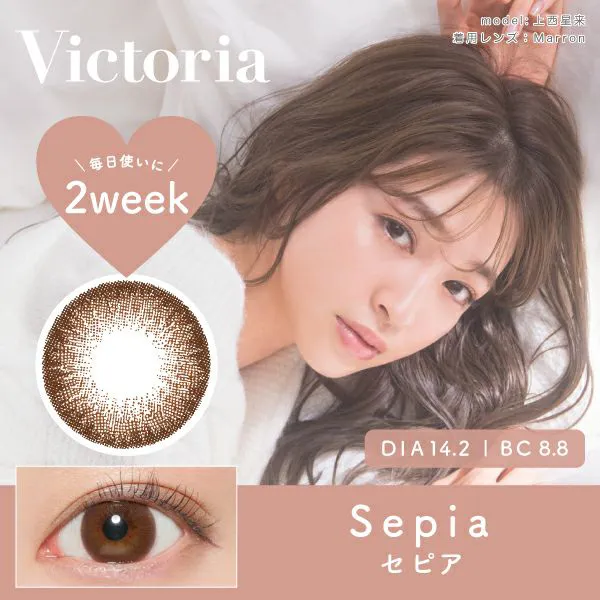 Victoria 2week 《セピア》 度あり 度なし 1箱6枚入り