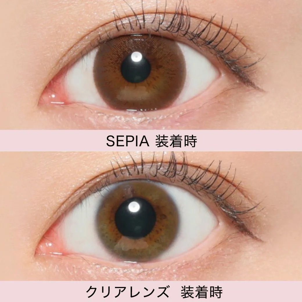 Victoria 2week セピア DIA14.2 BC8.8 着色直径13.4 度あり 度なし 6枚入り