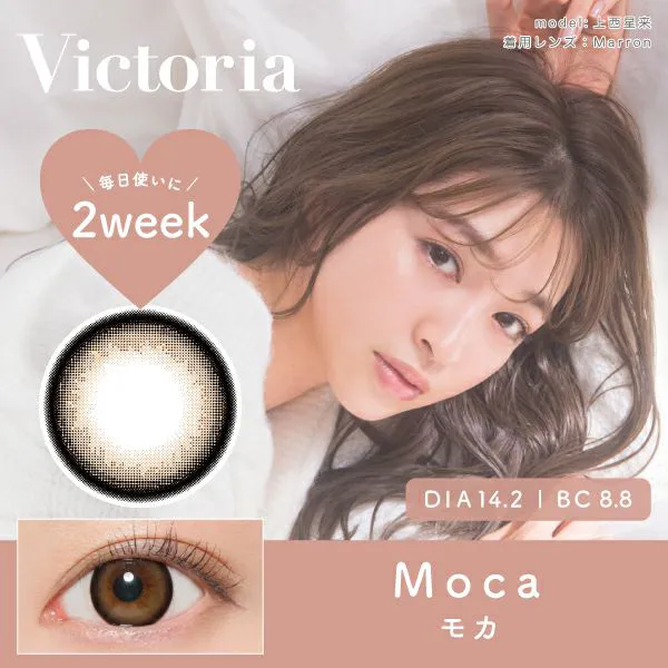 Victoria 2week 《モカ》 度あり 度なし 1箱6枚入り
