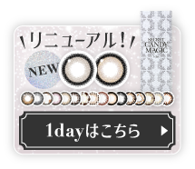 ワンデーはこちら